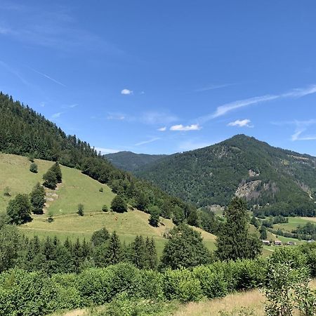 Ferienwohnung Sonnenterrasse Тодтмос Екстер'єр фото